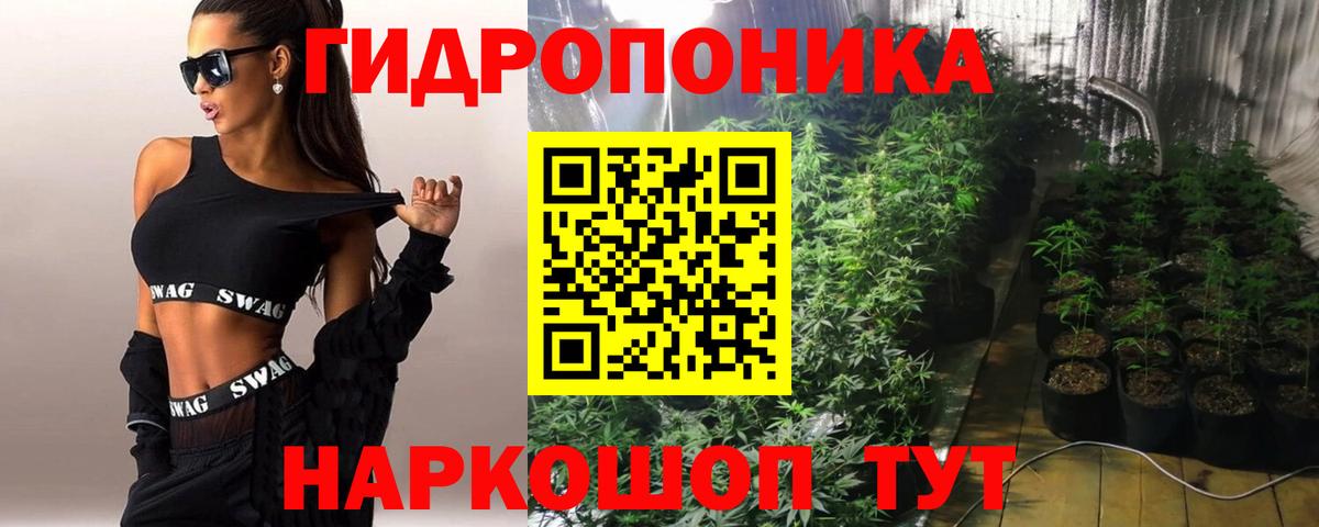 Конопля Ganja Курчатов